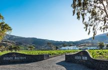 Private Wine Adventure Tour in the Most Distinct Wineries