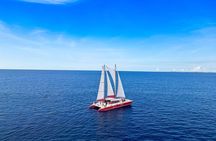 Guided Morning Sail to Boca Catalina with BBQ Lunch