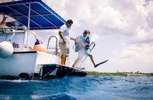 Discover Diving in the Reefs of Cozumel
