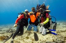 Discover Diving in the Reefs of Cozumel