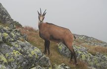 Private Hiking Tour Visit to Slovakia with Licensed Guide