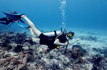 Certified Diving 2 Tanks in Cozumel