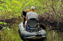 4-Hour Mangrove Island and Dolphin Watch Sandbar in Fort Pierce