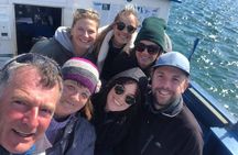 Howth Coastal Boat Tour (Ireland's Eye Ferries 50 mins trip)