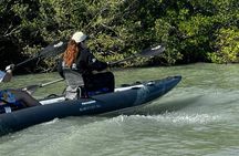 6-Hr Tropical Mangroves, Coastal River and Ocean Wildlife Watch 