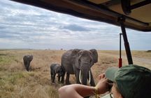 2 Days Safari in Tarangire and Ngorongoro Crater 