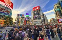 Private Tokyo Tour by subway w/Licensed English-speaking Guide