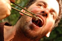 Full Day Trekking & bamboo cooking Tour in Chiang Rai