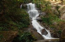 Full Day Trekking & bamboo cooking Tour in Chiang Rai
