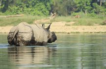 From Kathmandu: Private 3-Day Chitwan Safari Tour