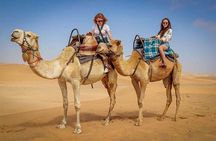 4 Hours Dubai Desert Experience: Camel + Sandboard + Falcon Photo