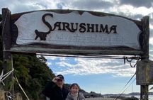 Yokosuka Adventure: Explore Uninhabited Island & Naval Cruise