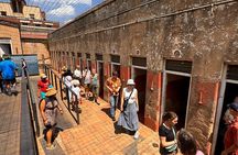 Johannesburg: Private Cultural Full-Day Tour 