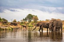 4 Day Private Tour in Tanzania Deluxe Safari