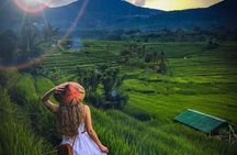 Bali Full-Day Private Tour: UNESCO Rice Terrace, Bratan Temple