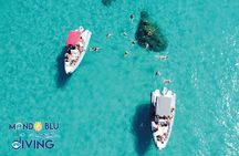 Sea, Sun and Relax : Private Excursion 3 h Capo Vaticano-Tropea