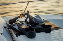 Dolphin Watching & Snorkelling Half Day Guided Tour Costa Rica