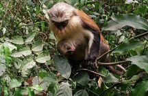 Half Day Accra Safari Private Tour