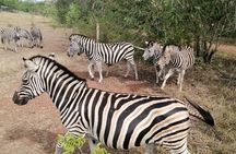 Half Day Accra Safari Private Tour