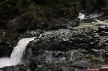 Shannon fall, Quercus Point and Squamish city Private tour