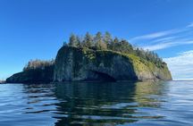 Sitka's Ultimate Wildlife Boat Tour