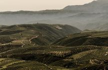 Chania Luxuries: Secrets of Wine and Olive Oil Tastings