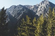 For the Wild Ones: White Mountains & Samaria Gorge Sightseeing