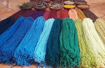 Traditional Market ,Widest Tree, Artisanal Textiles, Mezcal Magic