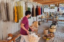 Traditional Market ,Widest Tree, Artisanal Textiles, Mezcal Magic