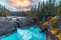 Private Banff Day Tour Lake Louise, Moraine, Peyto & More Sights!