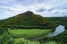 Private Kauai 5-Hour Eastside & Waterfalls Bus Tour