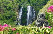 Private Kauai 5-Hour Eastside & Waterfalls Bus Tour