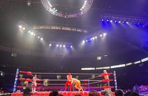2 hours Lucha Libre Show (mexican wrestling) with transport