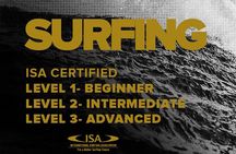 Surfing Course - Beginner