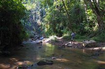 1 Day Chiang Dao Chill & Trekking in Private with Hot Springs
