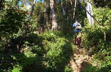 1 Day Chiang Dao Chill & Trekking in Private with Hot Springs