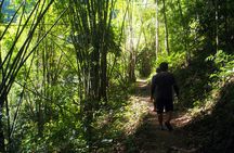 1 Day Chiang Dao Chill & Trekking in Private with Hot Springs