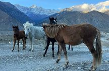 12 Days Overland Tour to Upper Mustang