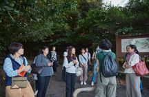 Samurai Spirit Half Day Walking Tour in Kagoshima