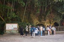Samurai Spirit Half Day Walking Tour in Kagoshima