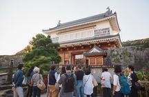 Samurai Spirit Half Day Walking Tour in Kagoshima