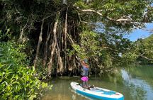 Mangrove SUP in Okinawa