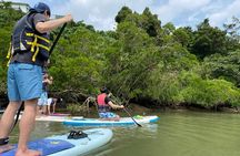 Mangrove SUP in Okinawa