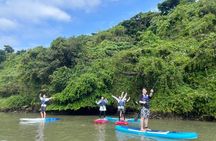 Mangrove SUP in Okinawa