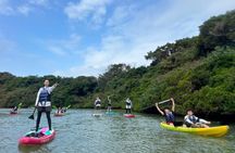 Mangrove SUP in Okinawa