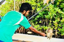 Monkey Island Boat Tour at Negombo Lagoon