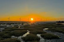 Trip from Taipei to Taichung Chung She Flower and Gaomei Wetland