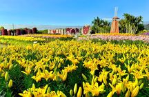 Trip from Taipei to Taichung Chung She Flower and Gaomei Wetland