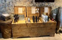 Guided tours of the olive grove with oil tasting.