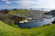 Full Day Private Westman Island Tour from Reykjavik